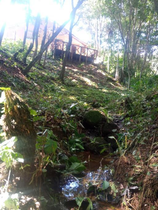 Casa Aconchegante Na Serra. Santo Antônio do Pinhal Extérieur photo